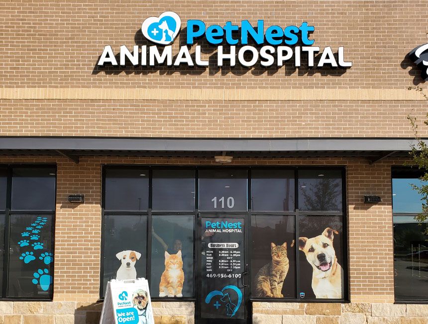 Petnest animal hospital entrance