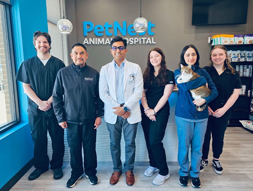 About Us | About PetNest Animal Hospital