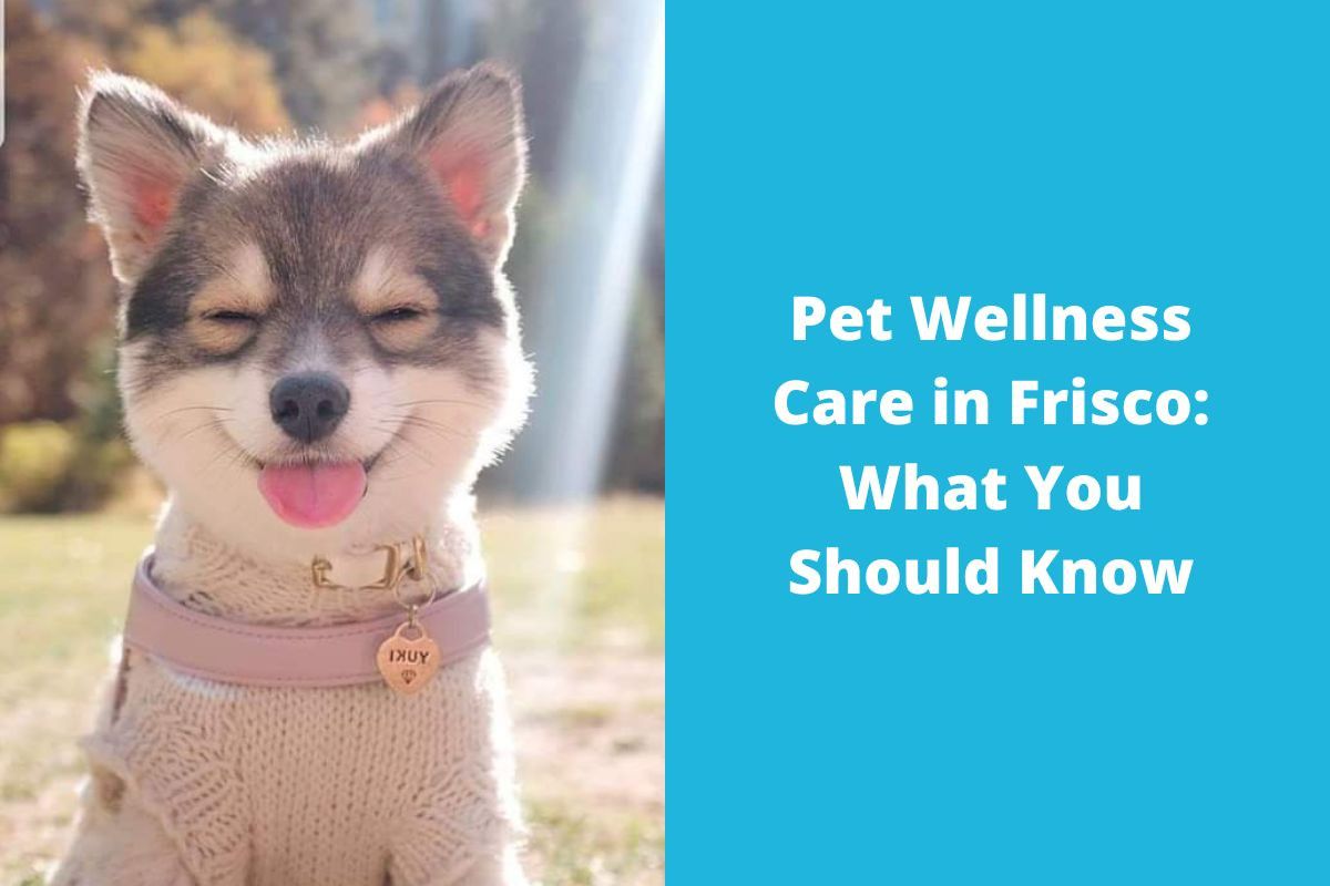 20220629-065910Pet-Wellness-Care-in-Frisco-What-You-Should-Know