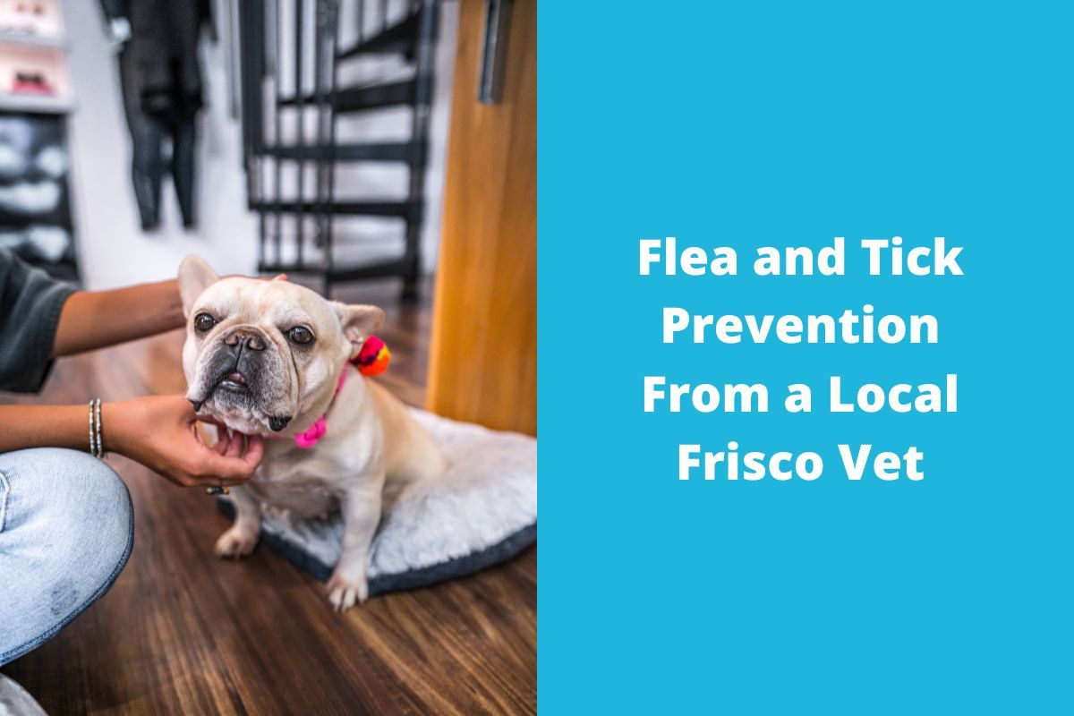 20220730-044620Flea-and-Tick-Prevention-From-a-Local-Frisco-Vet
