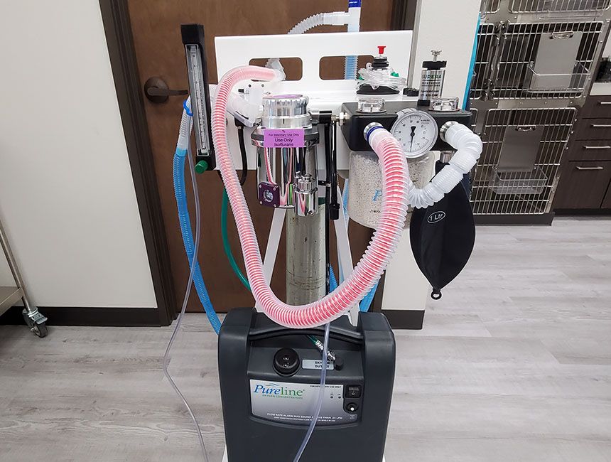 Pureline M6000 Rebreathing Mobile Anesthesia Machine
