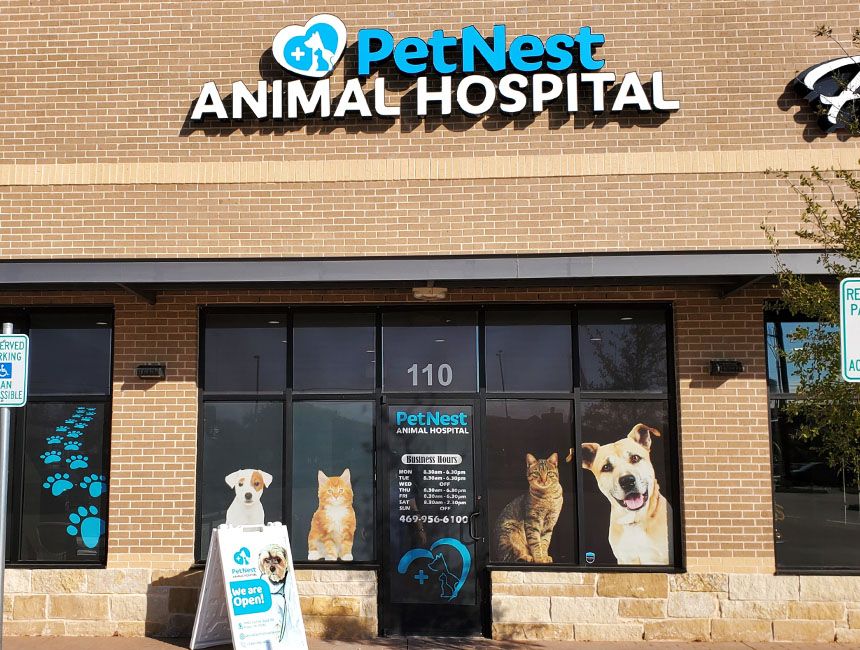 Petnest Animal Hospital Building Facade