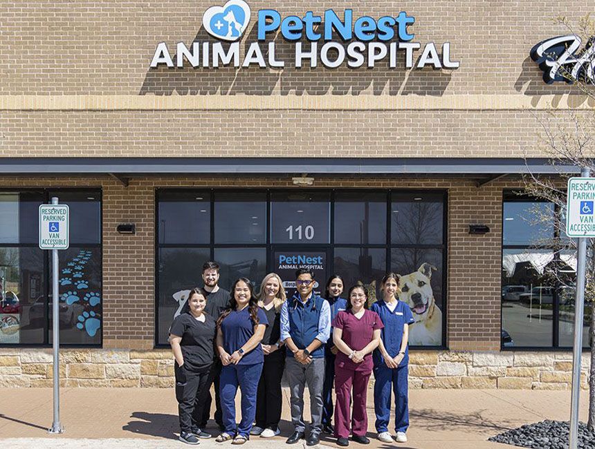Petnest Animal Hospital Team