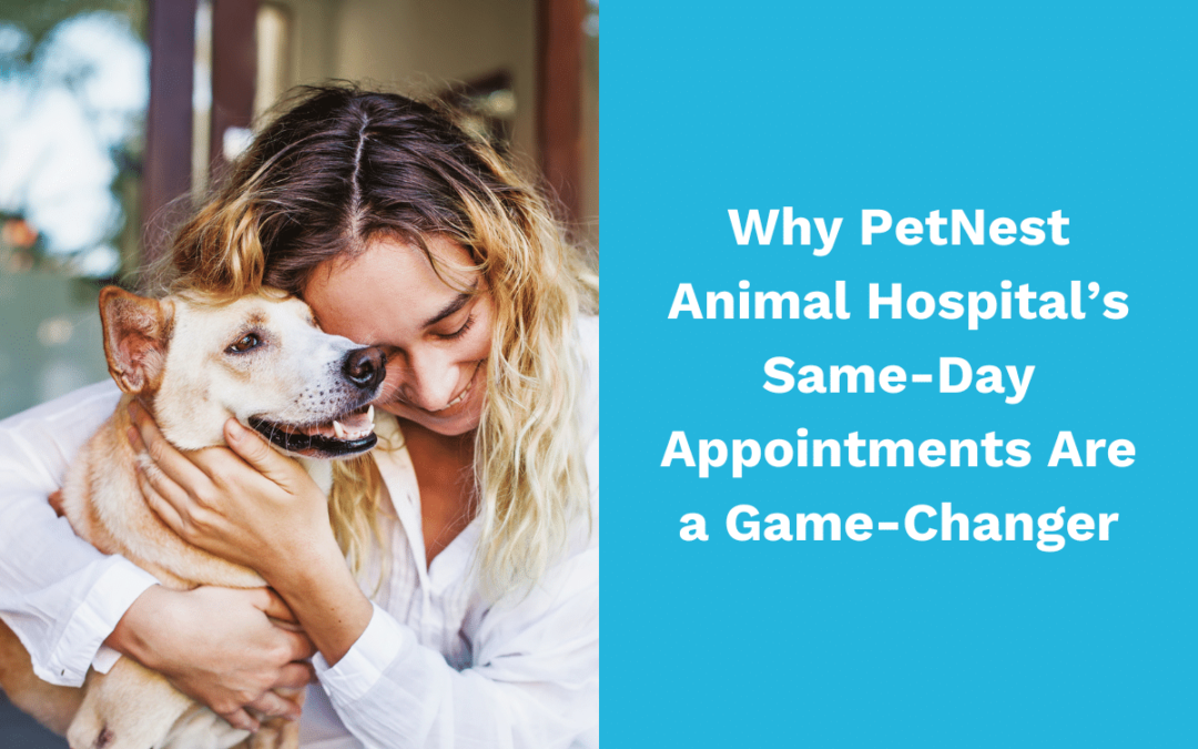 Why PetNest Animal Hospital’s Same-Day Appointments Are a Game-Changer