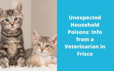 Unexpected Household Poisons: Info from a Veterinarian in Frisco