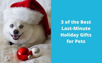 3 of the Best Last-Minute Holiday Gifts for Pets