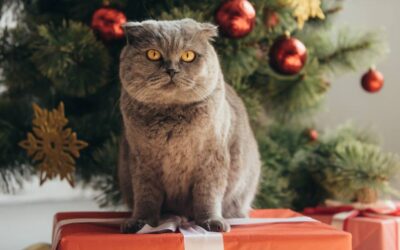 Holiday Safety Tips for Your Pets