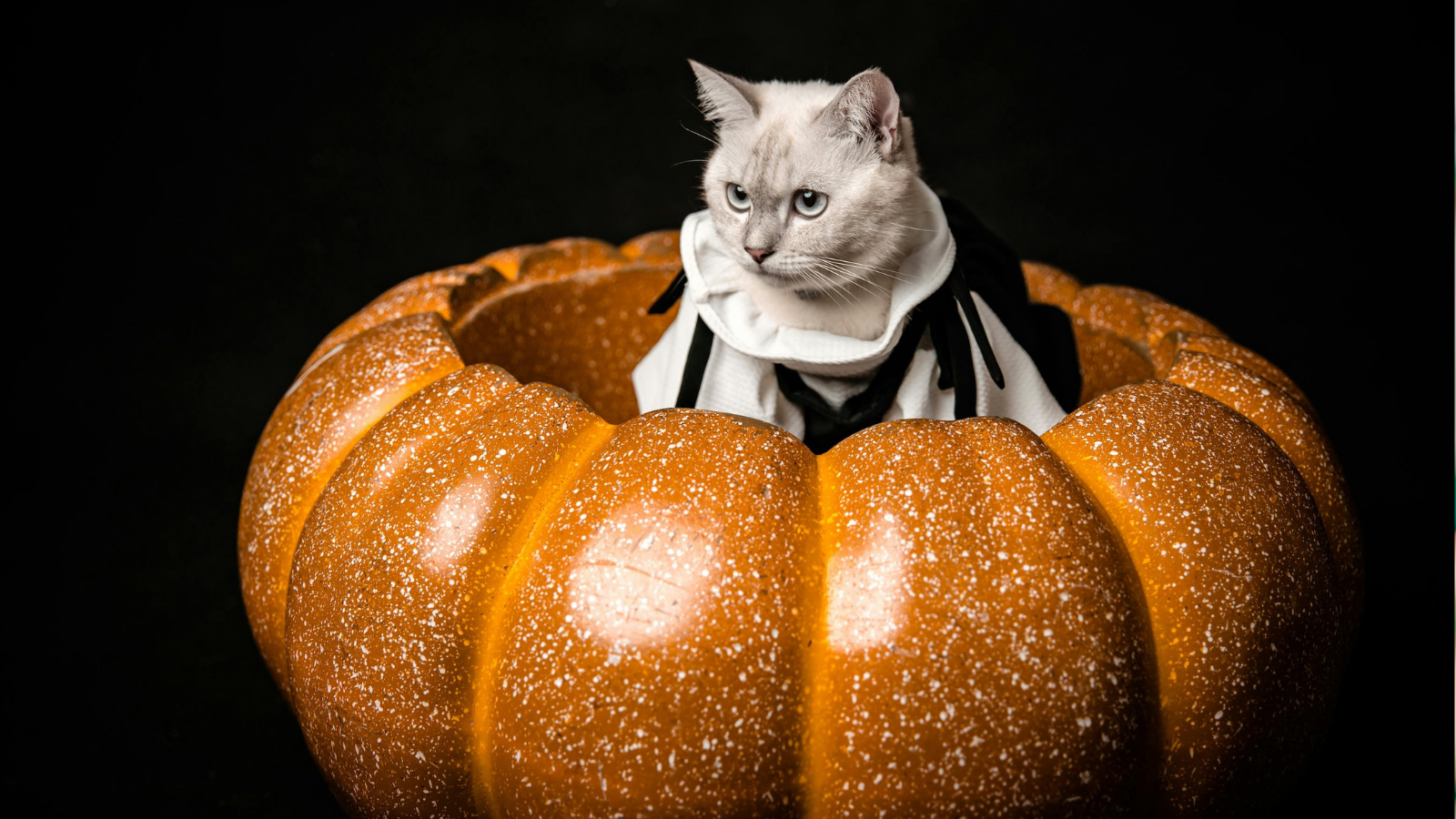 ro – 2025-10-27T171032.141