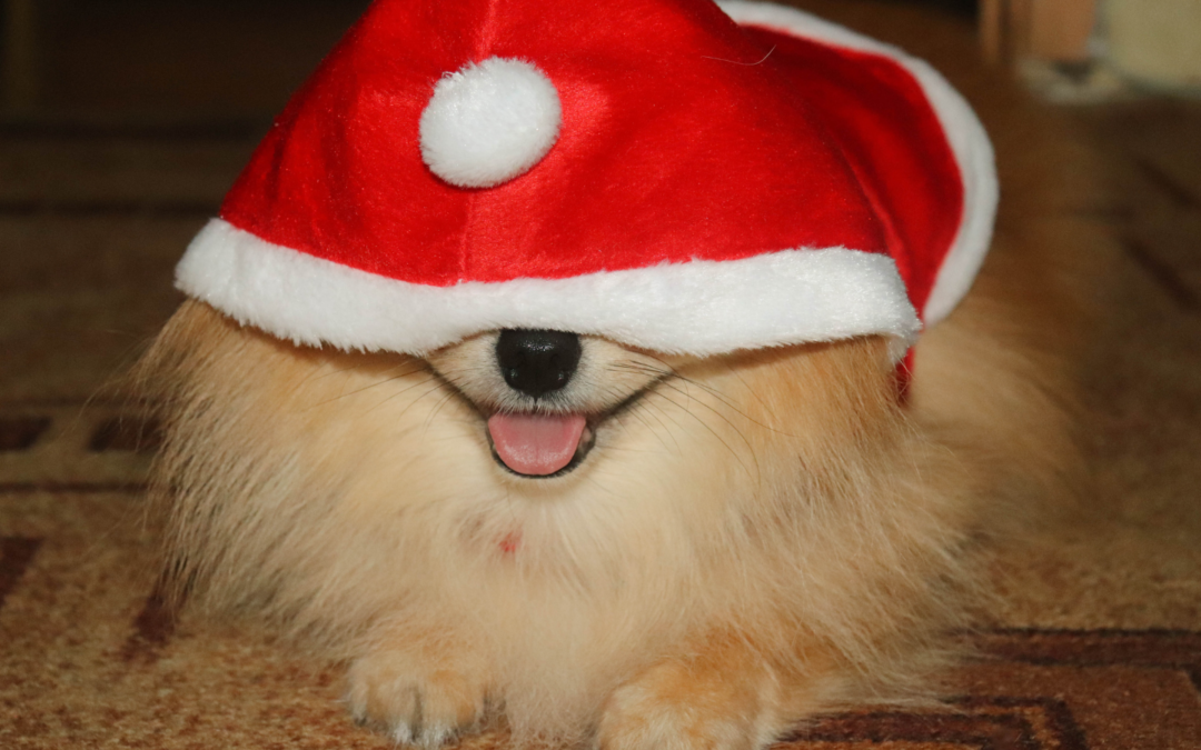 Is This Holiday Food Okay to Share with My Pet?