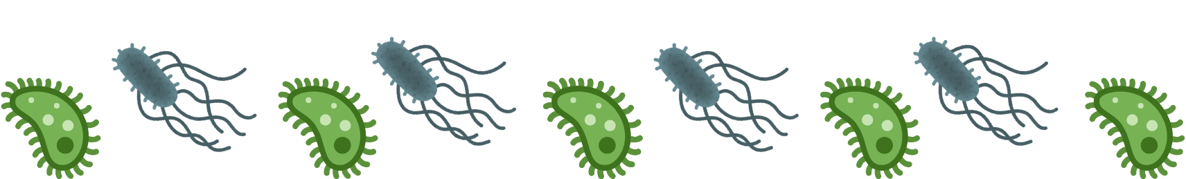 Veterinarian discussing heartworm prevention for dogs and cats at PetNest Animal Hospital in Frisco