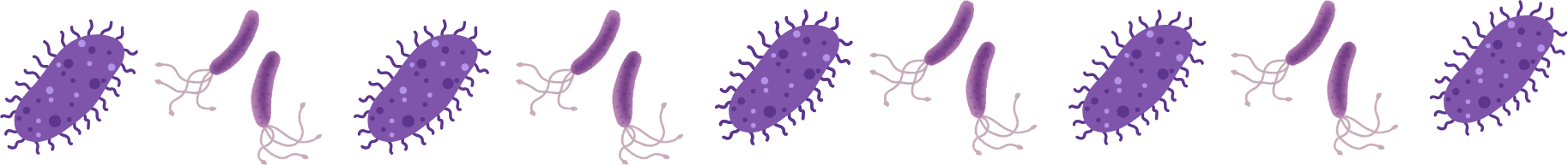 Veterinarian performing wellness exam for parasite symptoms at PetNest Animal Hospital in Frisco TX