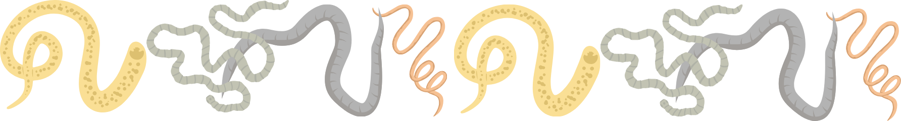 Fecal parasite testing for dogs and cats at PetNest Animal Hospital in Frisco, TX