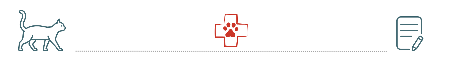 Emergency care for insured pets at PetNest Animal Hospital in Frisco TX