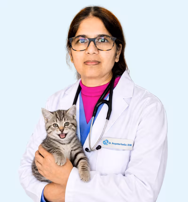 F Doc2 converted