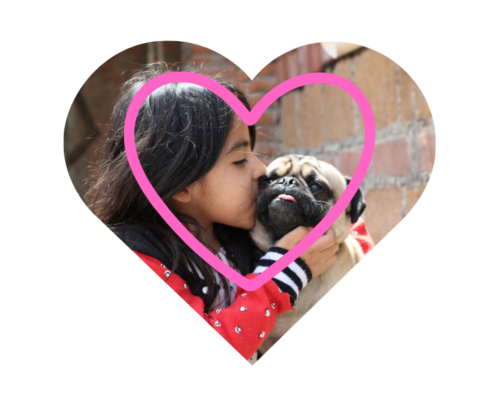 Experienced vet in Frisco, TX providing personalized veterinary care at PetNest Animal Hospital